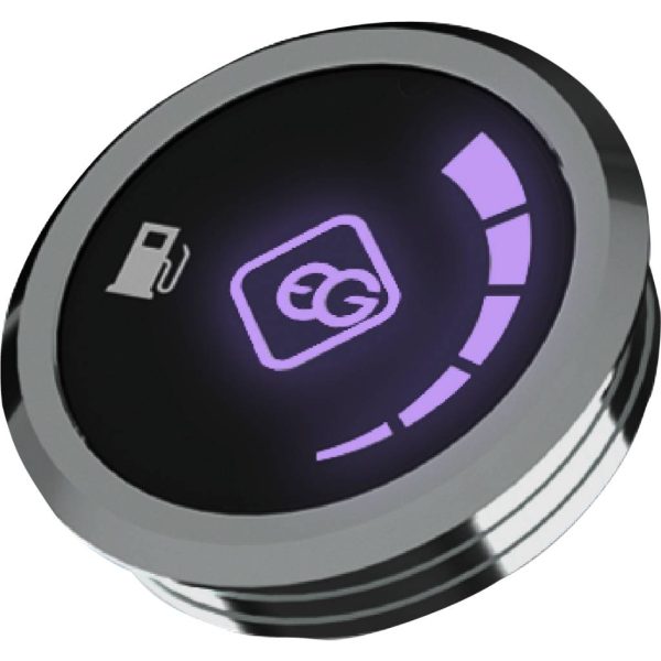 Controlador ECUS EG Switch - Conmutador